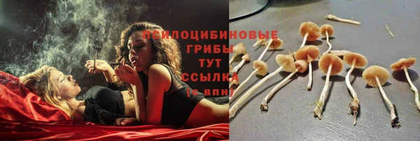 марки lsd Горняк
