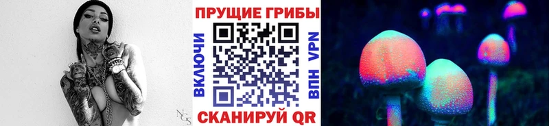 Псилоцибиновые грибы Magic Shrooms Купить Камень-на-Оби